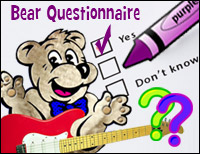 Answer Our Bear Questionnaire!